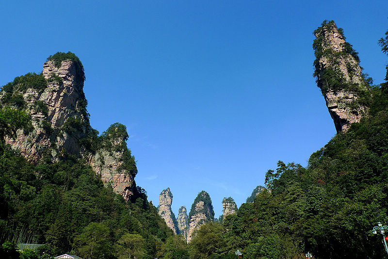 張家界國家森林公園、黃龍洞、天門山、鳳凰古城純玩五日游